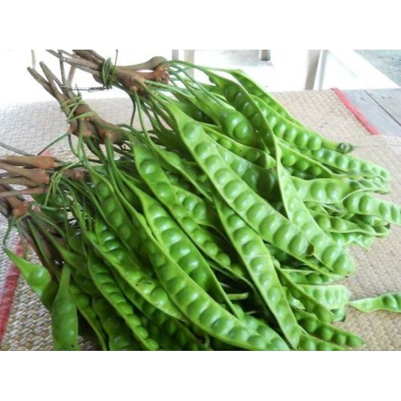 

PETE ORIGINAL ASLI PATI PETE ENAK EMPUK PETE FRESS per 1 pcs