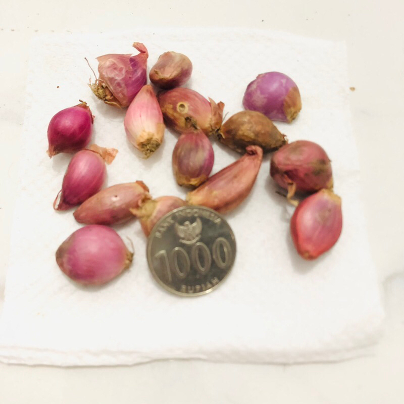 

[IMPERFECT] BAWANG MERAH 1 KG SUPER KECIL & MUNGIL