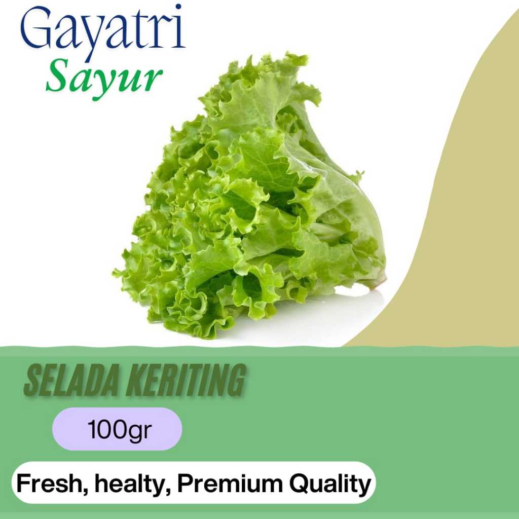 

Selada Keriting Fresh 100gr - Gayatri Sayur