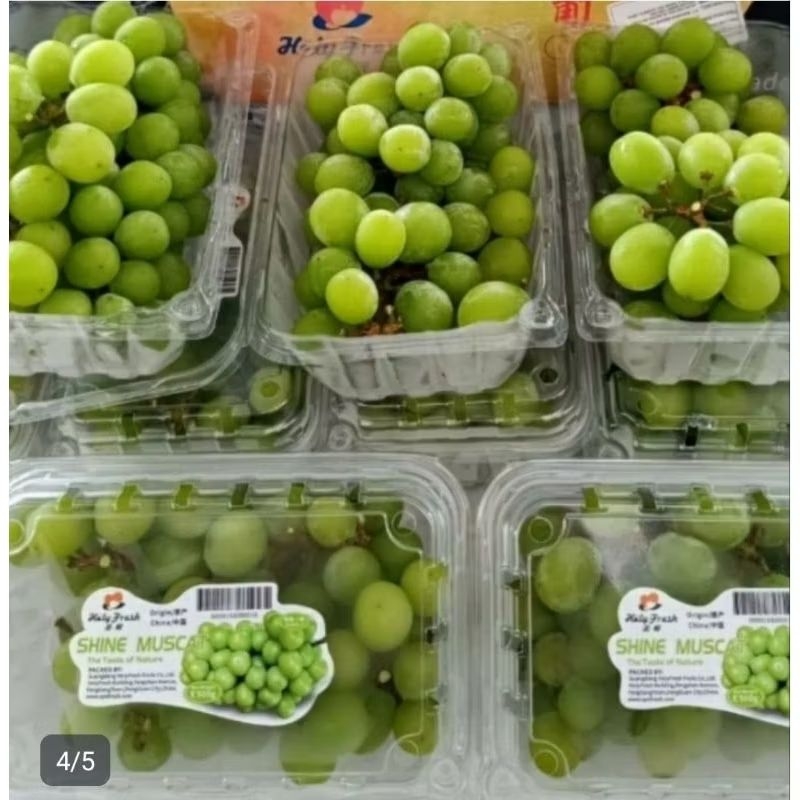 

Anggur Shine Muscat 1 Box