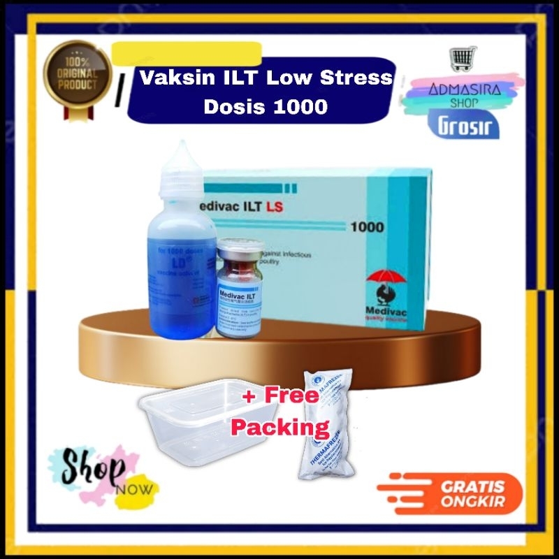 Vaksin Medivac ILT LS Low Stress Dosis 500 1000 ekor untuk Gangguan Pernapasan Akut Unggas Ayam Bebe
