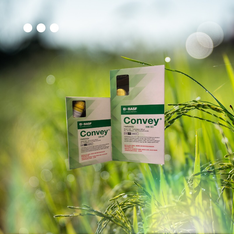 CONVEY HERBISIDA JAGUNG