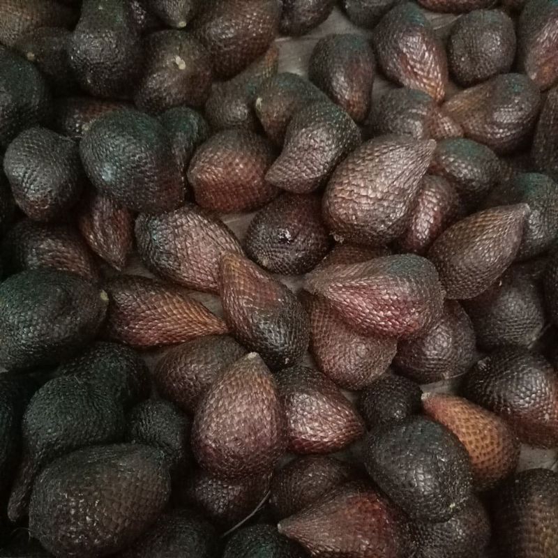 

Salak pondoh
