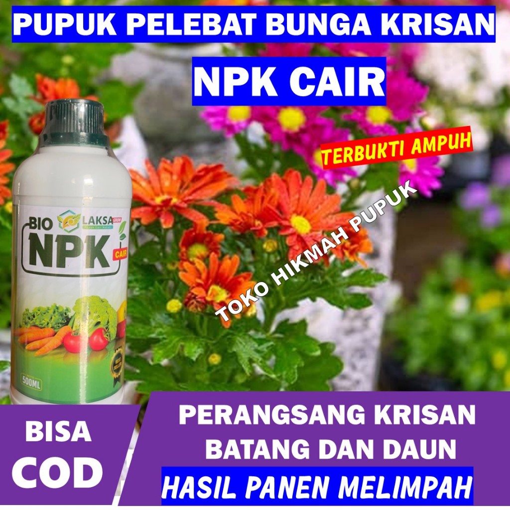 Pupuk NPK PERBANYAK Bunga Krisan NPK CAIR LAKSA 500 ML, Pupuk NPK Cair Paling Ampuh Tinggal Semprot 