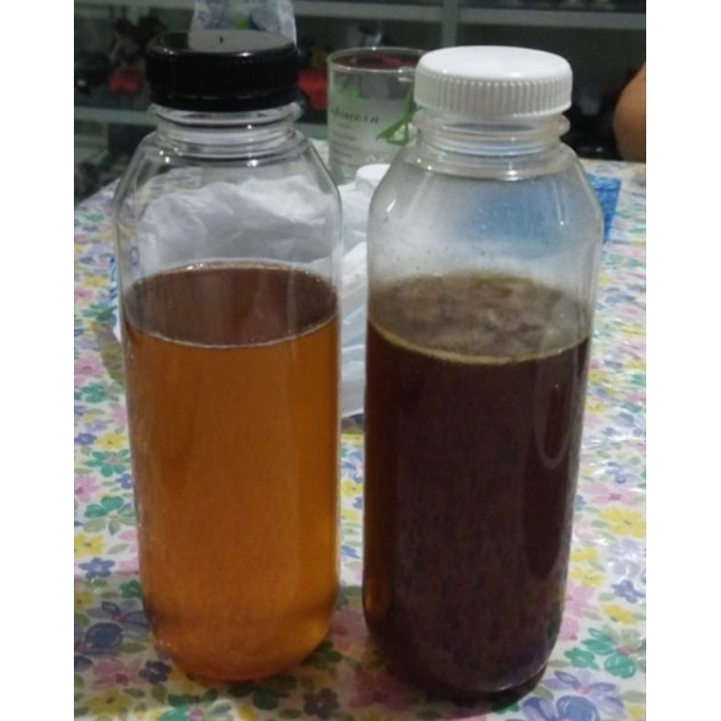

Madu Hutan Liar Asli Bangka