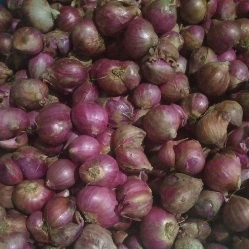 

bawang merah
