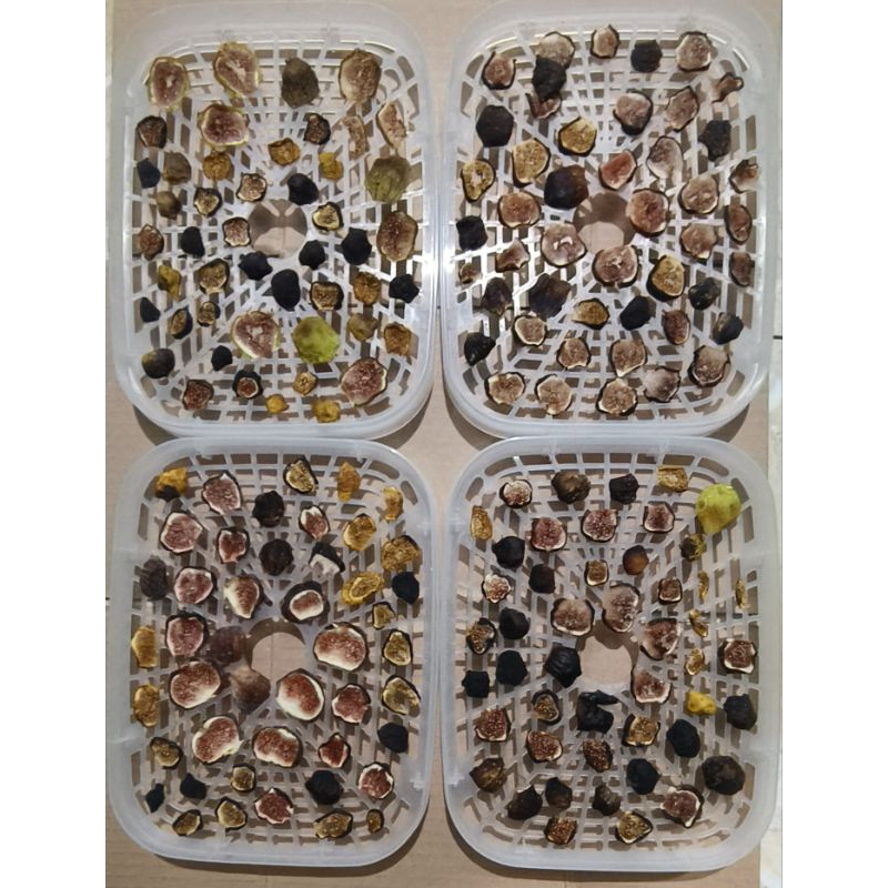 

buah tin kering | dried fig