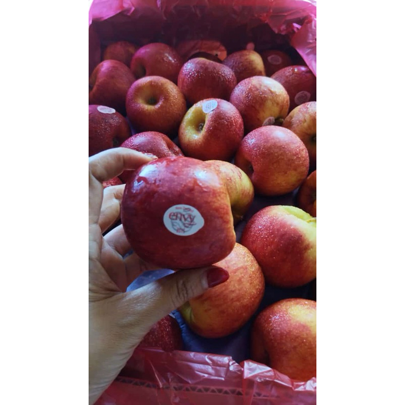 

BACA DESKRIPSI - APEL ENVY - marketkitabali