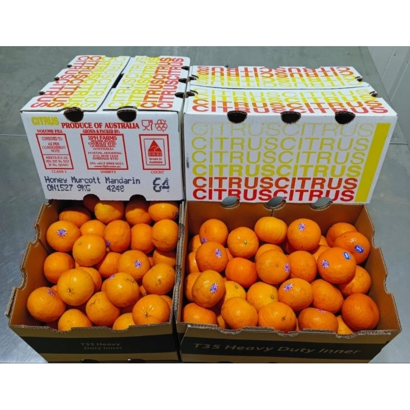 

Jeruk Murcot Impor Impor 5 pcs fruits12