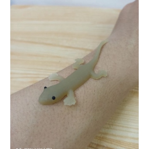 PROMO TERGILA Mainan cicak karet mirip asli