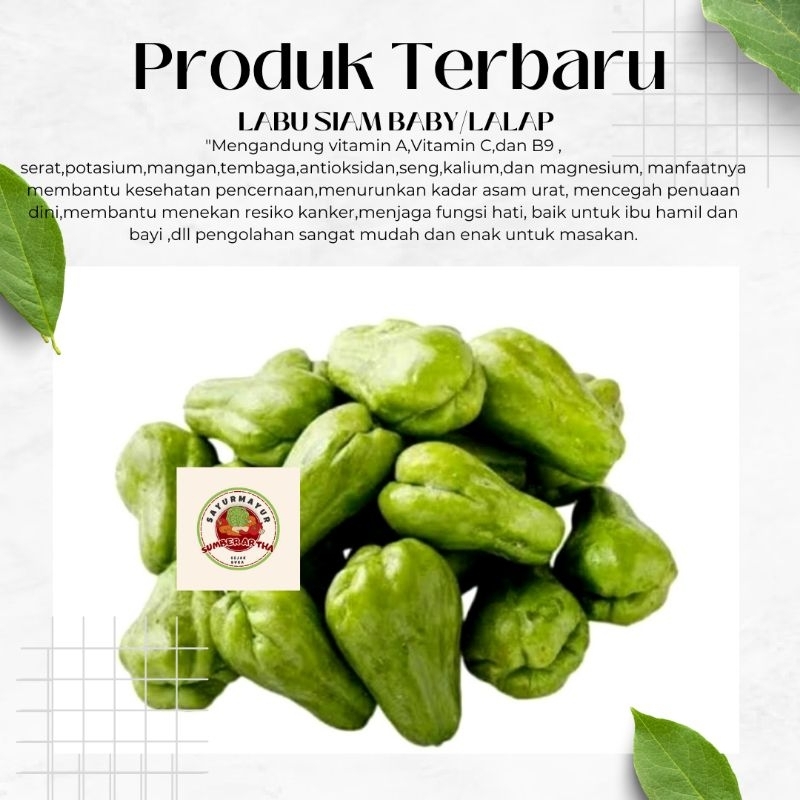 

Sayur Fresh 250Gr Labu Siam Baby atau lalap segar fresh murah fast delivery