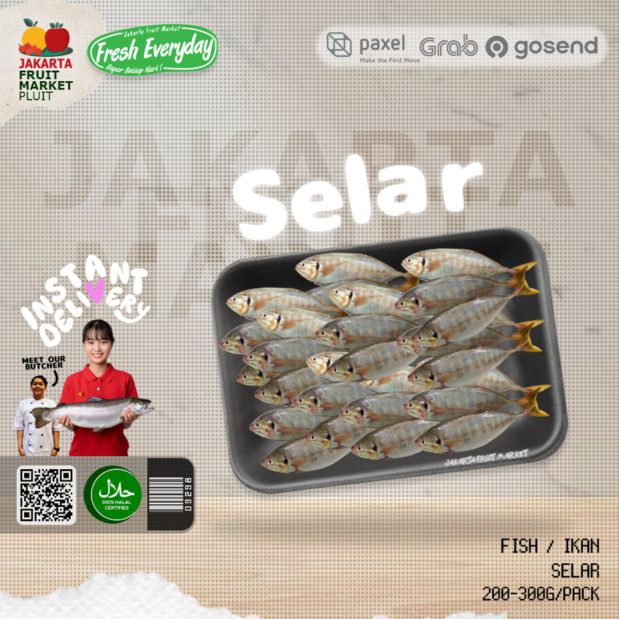 

IKAN SELAR fresh segar setiap hari