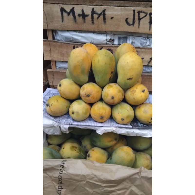 

Mangga Harum Manis 1kg