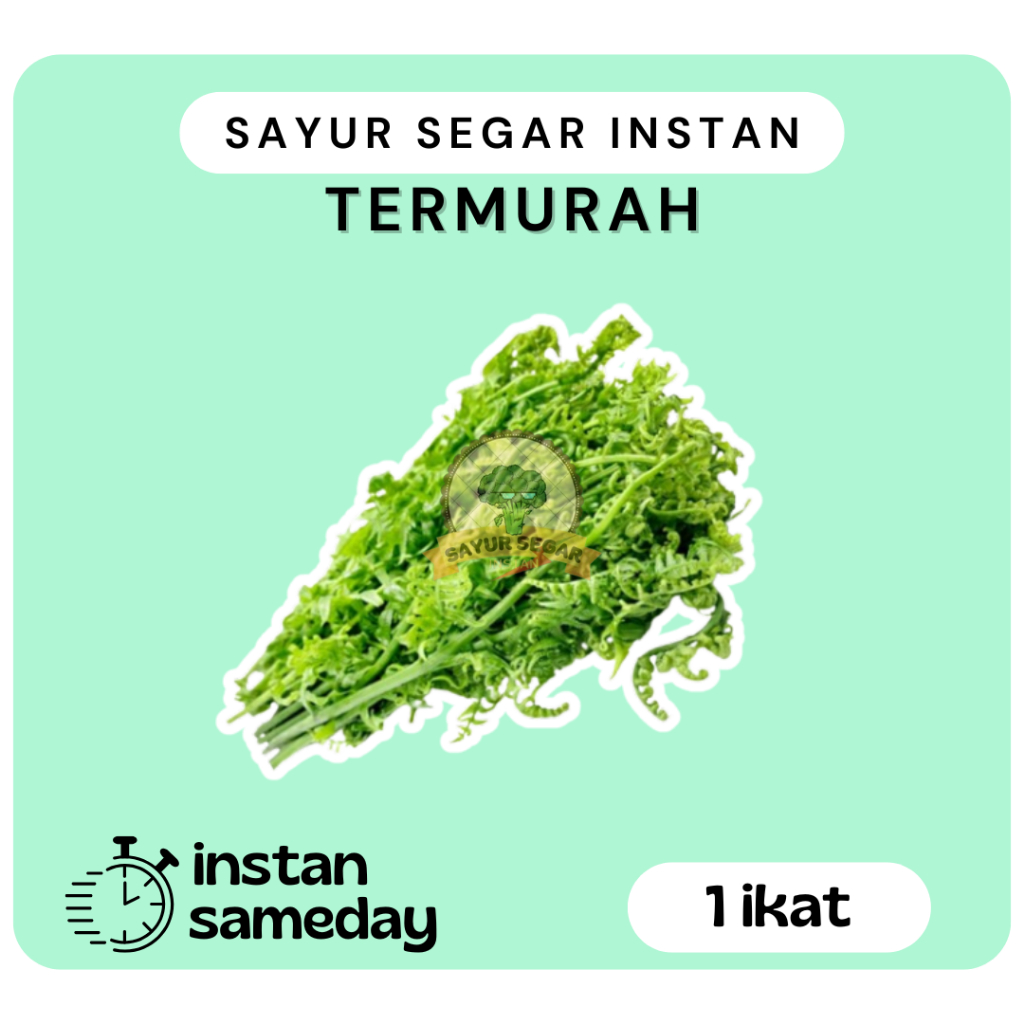 

Daun Pakis 1ikat - Sayur Segar Instan