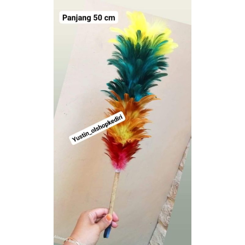 Kemoceng bulu horn asli/ Kemoceng bulu ayam/ kemoceng bulu warna warni