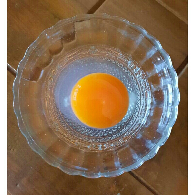 

Telur Bebek 10 butir / Telor Bebek 10 butir / Telur Bebek Fresh / Telur Bebek langsung dari kandang