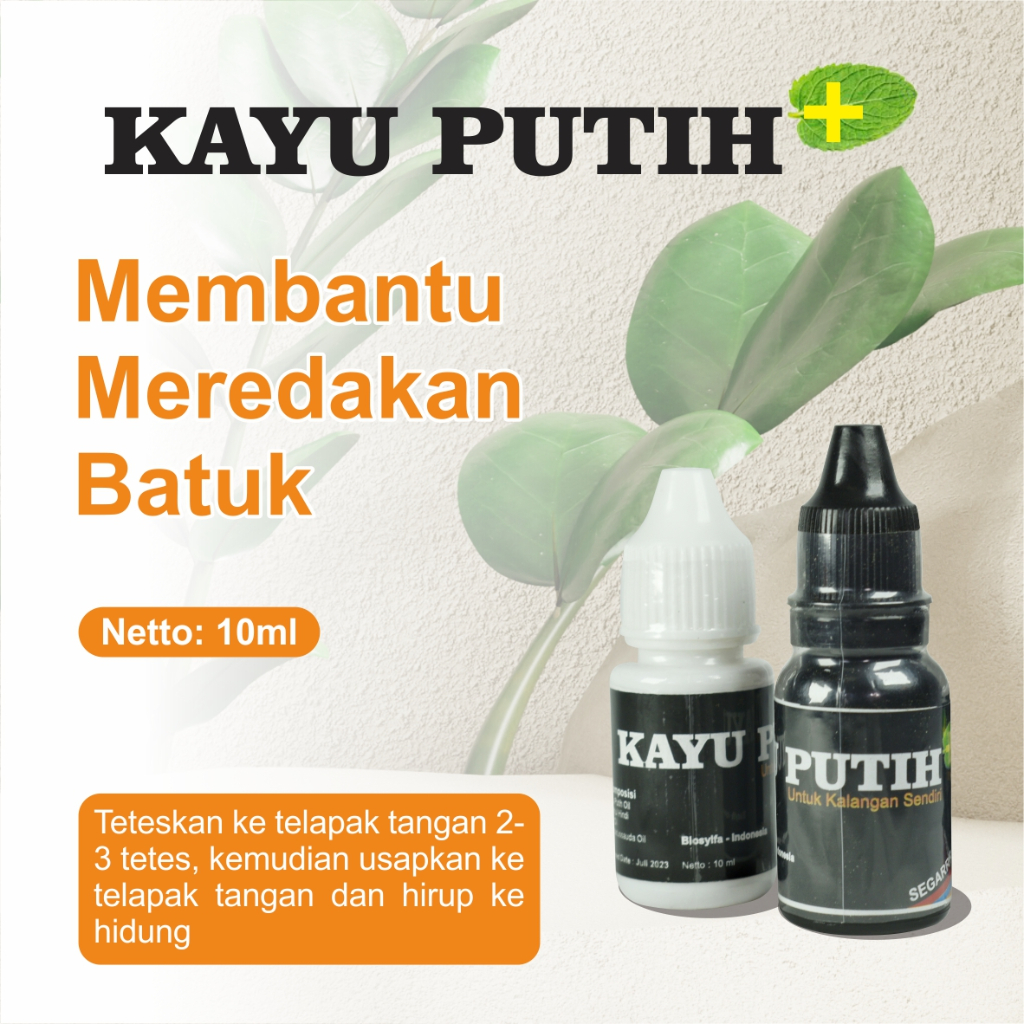 MINYAK KAYU PUTIH PLUS Asli Obat Batuk Berdahak Pernafasan Hidung Tersumbat Binasyifa Herbal BPOM