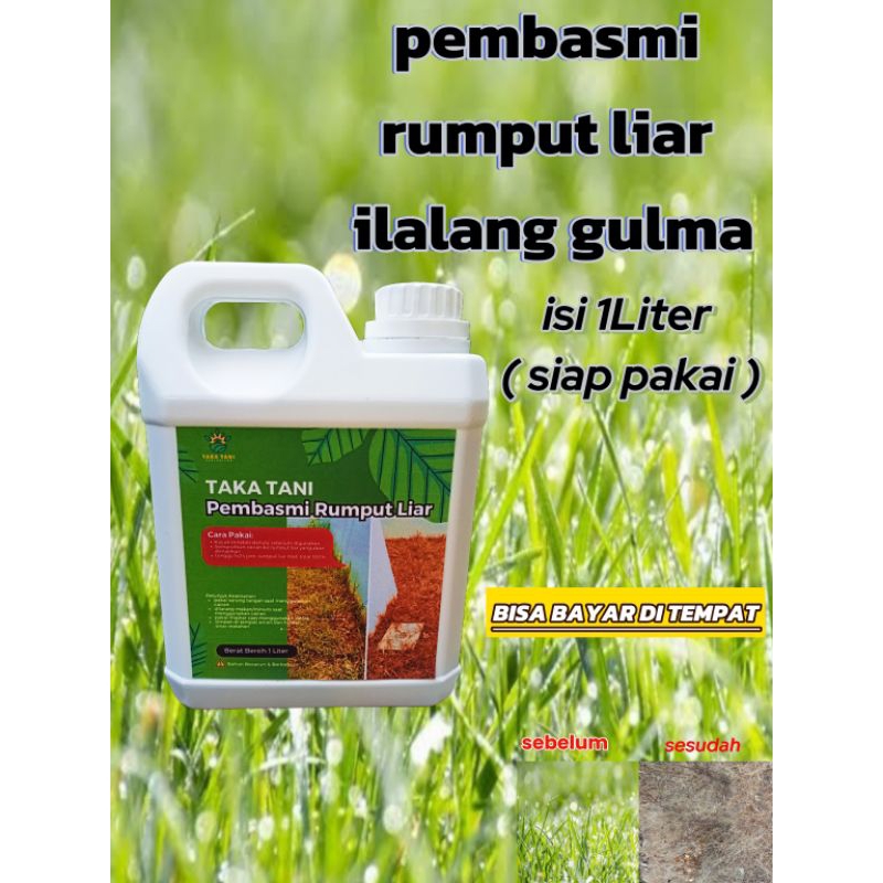 Obat Cairan pembasmi rumput liar illalang dan gulma peraktis tinggal pakai di jamin ampuh sampe akar