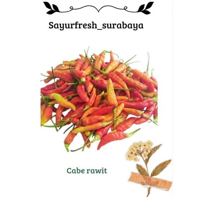 

Cabe Rawit 100gr 250gr/500gr