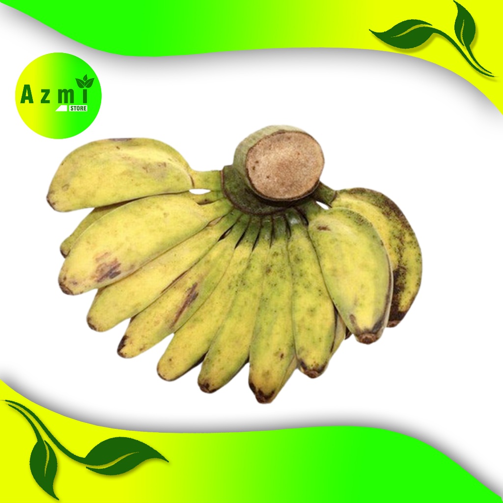 

terbaik pisang kepok lokal / cau gebrot per 1000 gram