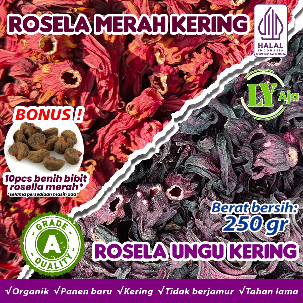 

Teh Bunga Rosela Merah dan Ungu Kering 250 Gram Rosella Roselle Grade A Premium LY Aja 250 Gr Herbal Pelangsing Diet