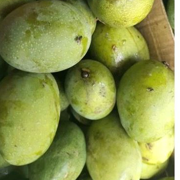 

mangga kweni(1 kg)