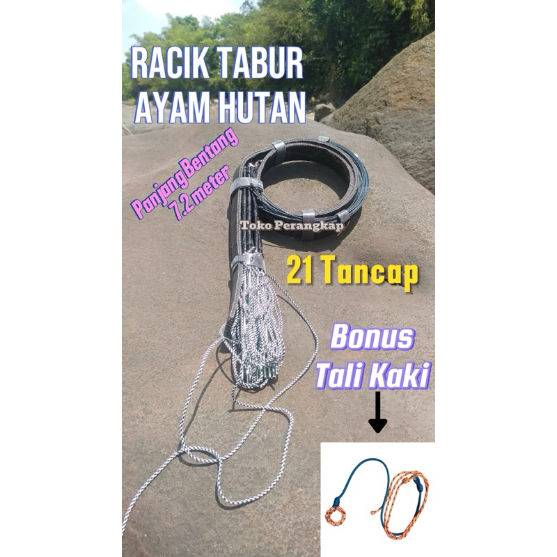 Jerat Tabur Ayam Hutan / Racik Perangkap Ayam Hutan