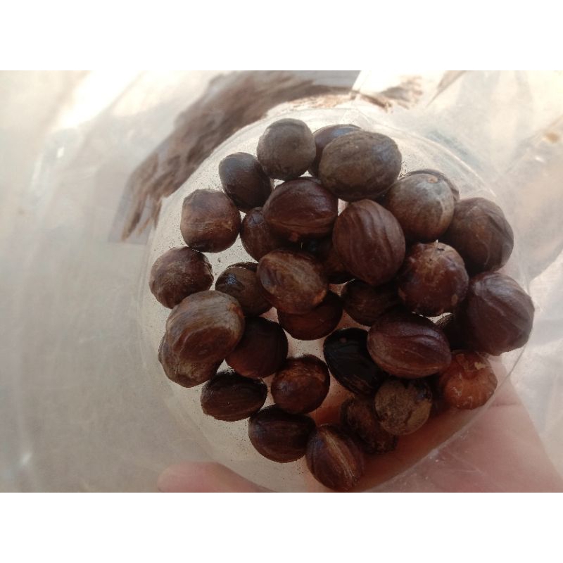 

ABIYA SEN STORE / BUAH PALA BAHAN MEMASAK BERSIH ALAMI