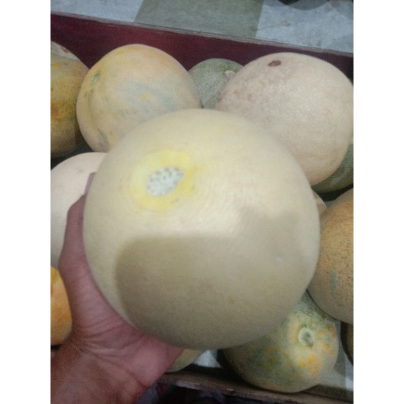 

Melon murah sortiran superan