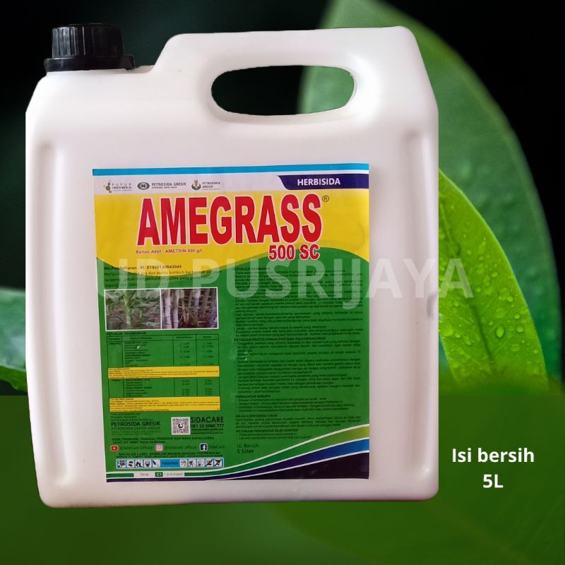 HERBISIDA AMEGRAS 500SC Kemasan 5L