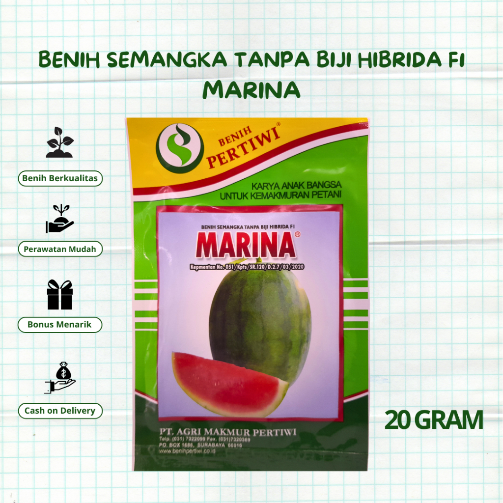 Benih Semangka MARINA 20gr Pertiwi F1