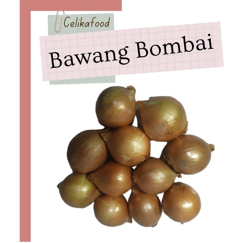 

Bawang Bombai Bombay Putih Onion Bumbu Rempah Masakan