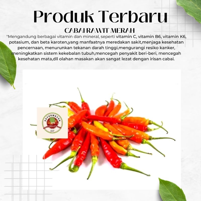 

Sayur Fresh 250Gr 500 Gr 1Kg Cabai Rawit Merah super murah fast delivery