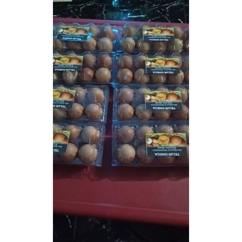 

Telur Omega