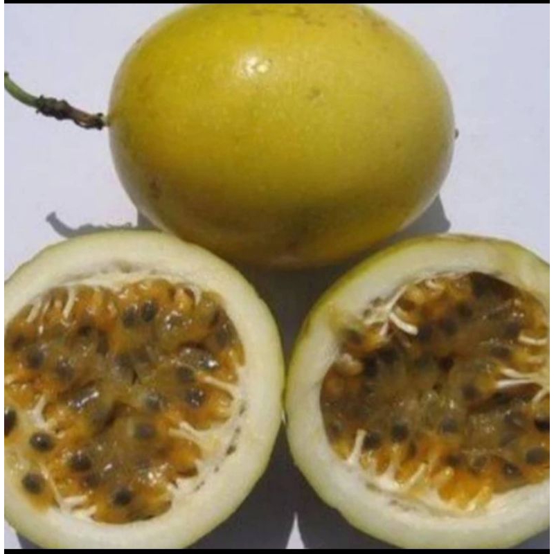 

buah markisa segar 1kg