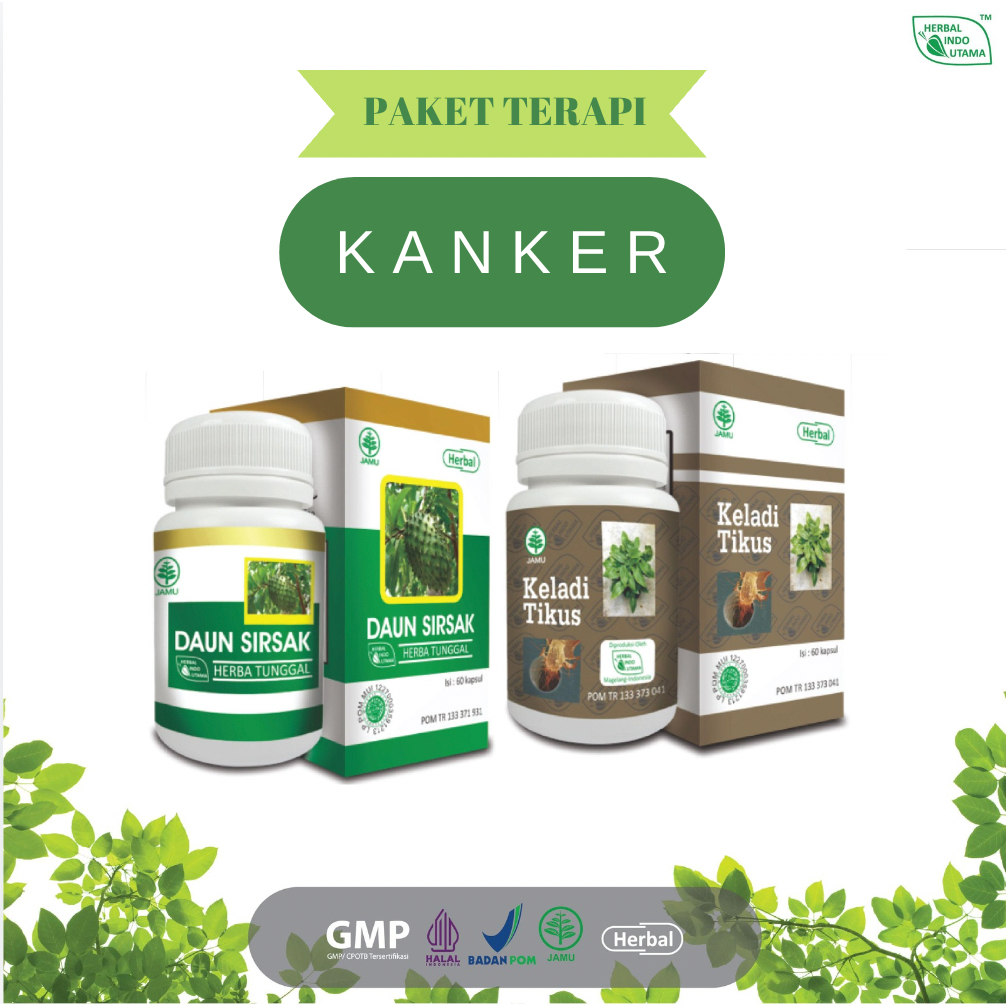 Paket Obat Herbal Anti Kanker Keladi Tikus dan Daun Sirsak