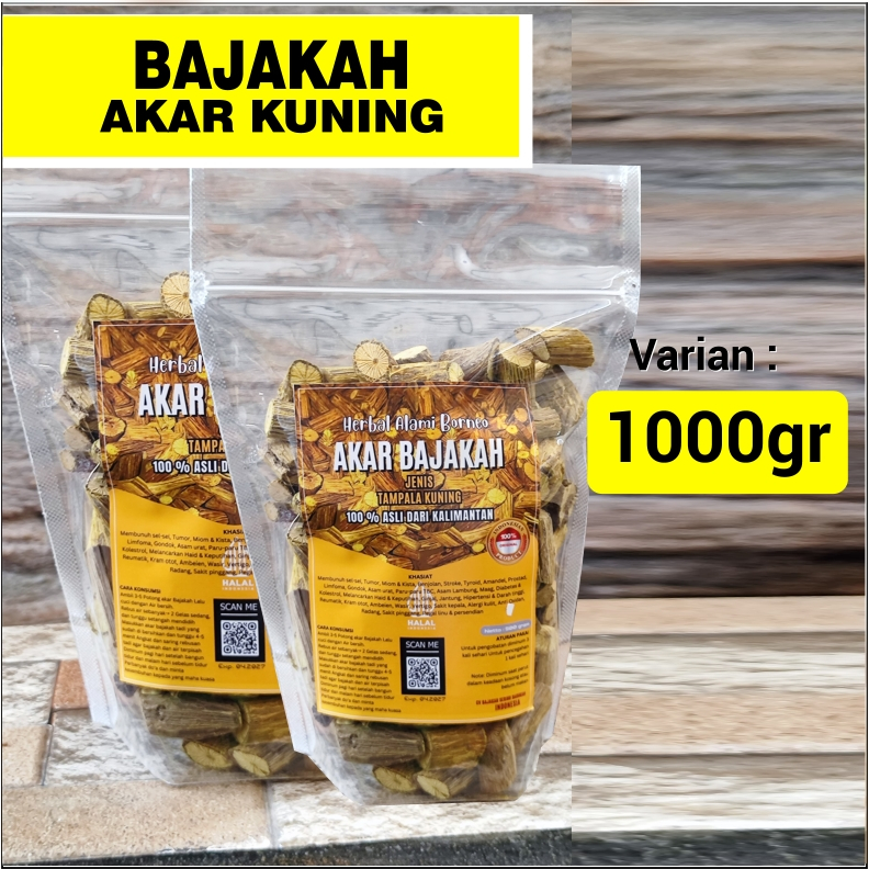 

AKAR BAJAKAH KUNING (1 KG) ASLI KALIMANTAN TERBUKTI KHASIATNYA