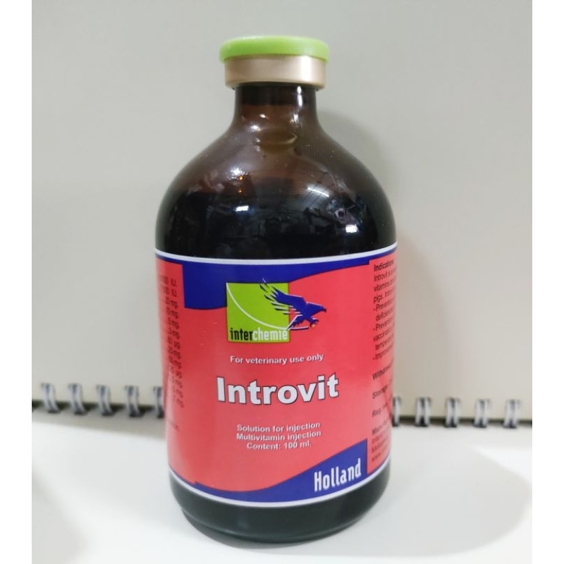Harga introvit Terbaru Jun 2026 | BigGo Indonesia