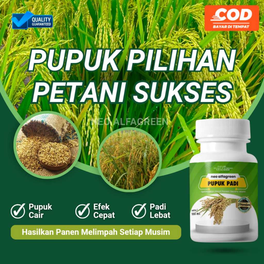 Pupuk Organik Padi  Pupuk Penambah Berat Padi  Booster Daun Anakan Padi Pupuk Mencegah Rontok Padi