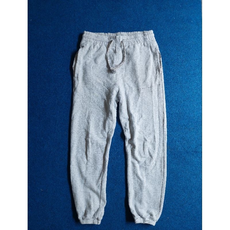 alexander wang sweat pants