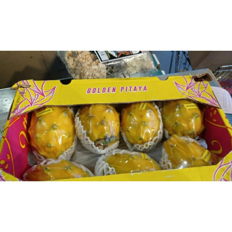 

Buah naga kuning dragon yellow Ekuador 2.5 kg