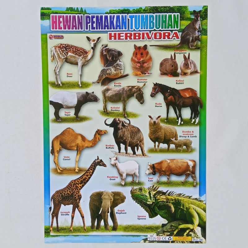 Poster Anak Edukasi Hewan Pemakan Tumbuhan