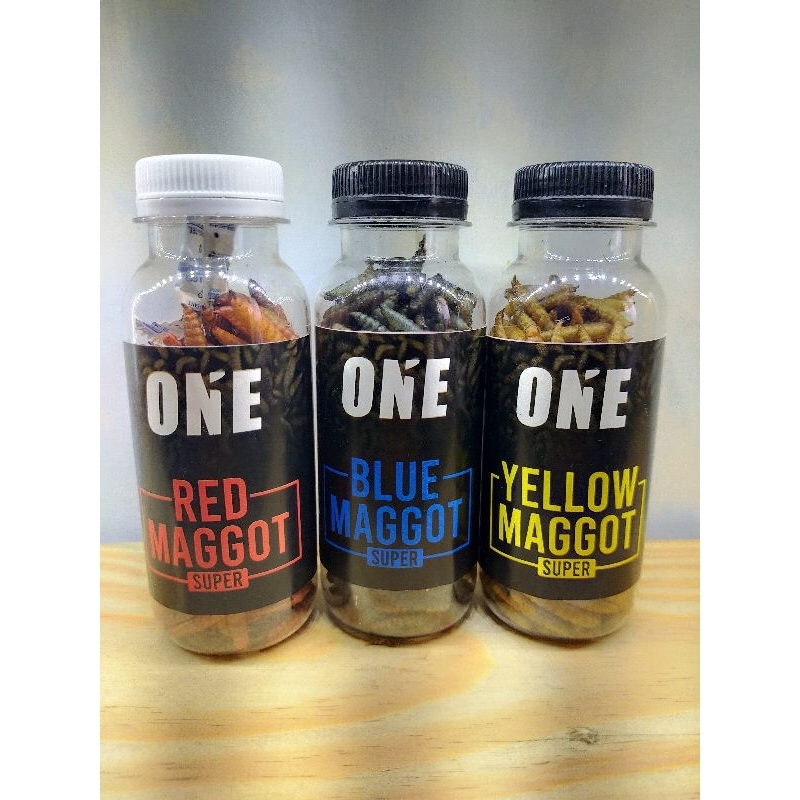 Pakan chana maggot barca ys maru blue pulchra andrao auranti limbata yellow red