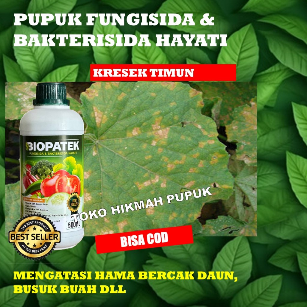 PROMO FUNGISIDA BIOPATEK Obat Kresek Pada Mentimun Paling Bagus – Obat Penyakit Kresek Pada Mentimun