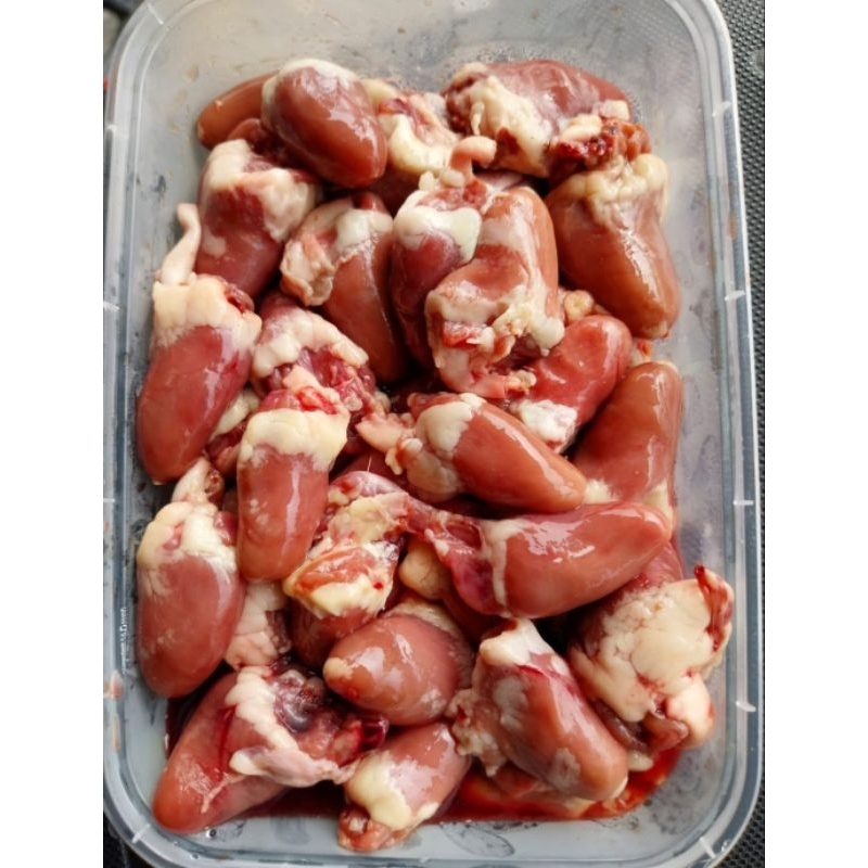 

Jantung ayam 500 gr
