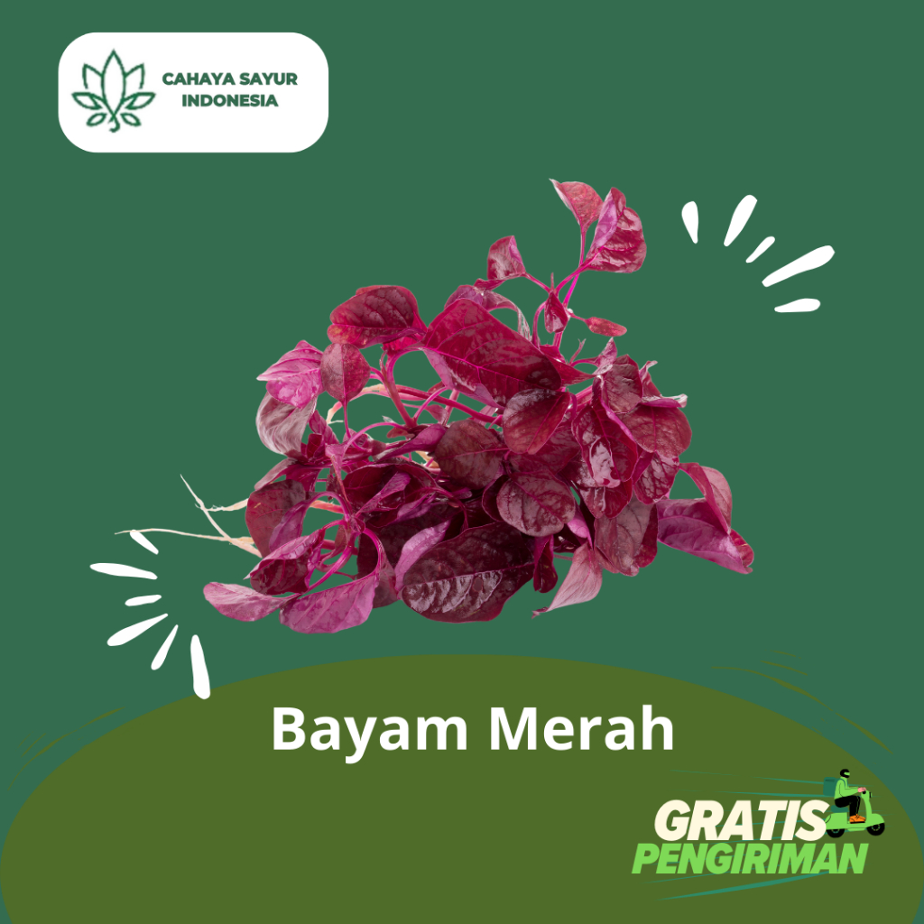 

Bayam Merah / Bayam Merah Segar 1KG + Gratis Ongkir