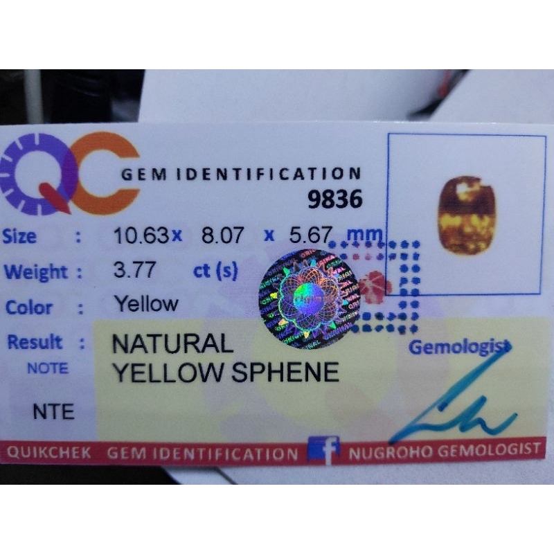 Natural Yellow Sphene SAB6165