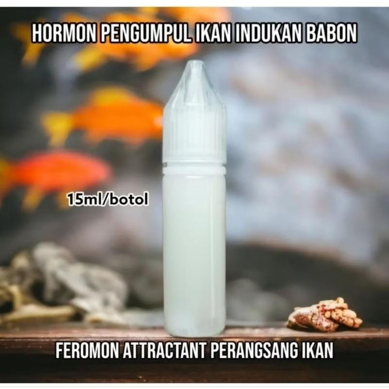 Hormon Pengumpul ikan Umpan pancing