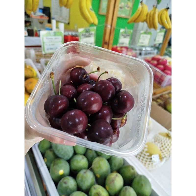 

Premium Cherry Tasmanian 43° south