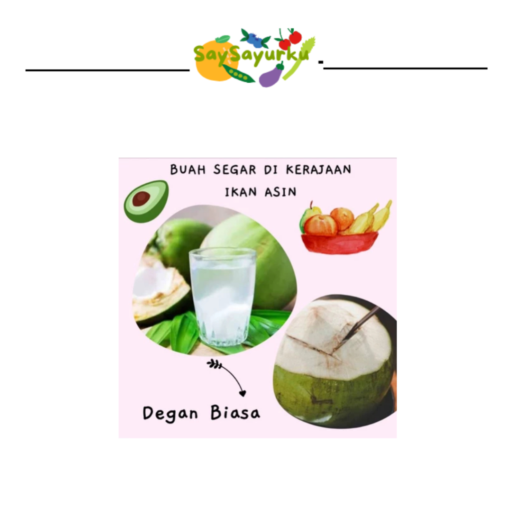 

DEGAN MUDA BIASA